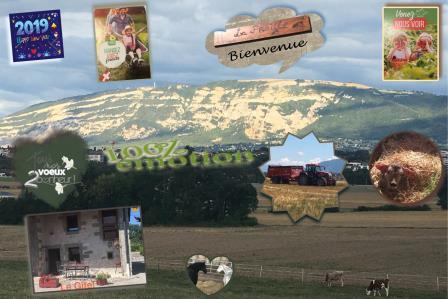 Voeux 2019